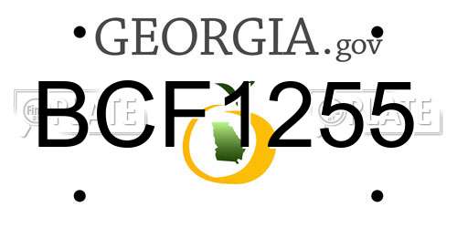 BCF1255 Georgia License Plate