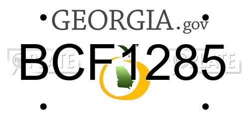 BCF1285 Georgia License Plate