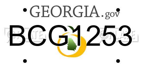 BCG1253 Georgia License Plate