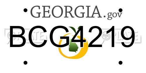 BCG4219 Georgia License Plate