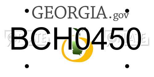BCH0450 Georgia License Plate