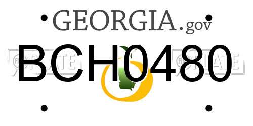 BCH0480 Georgia License Plate