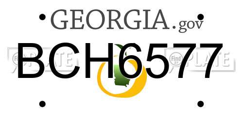 BCH6577 Georgia License Plate
