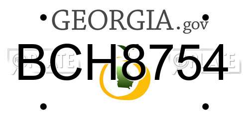 BCH8754 Georgia License Plate