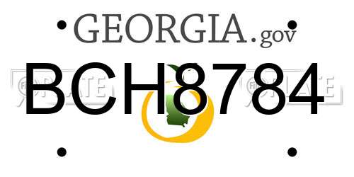 BCH8784 Georgia License Plate