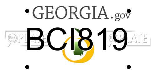 BCI819 Georgia License Plate