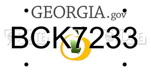 BCK7233 Georgia License Plate