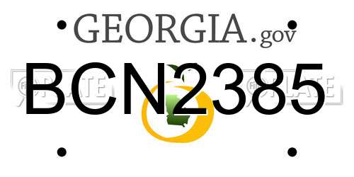 BCN2385 Georgia License Plate