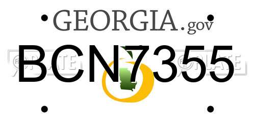 BCN7355 Georgia License Plate