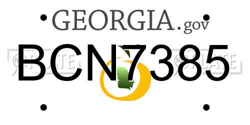 BCN7385 Georgia License Plate