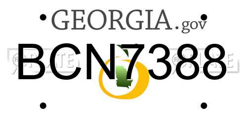 BCN7388 Georgia License Plate