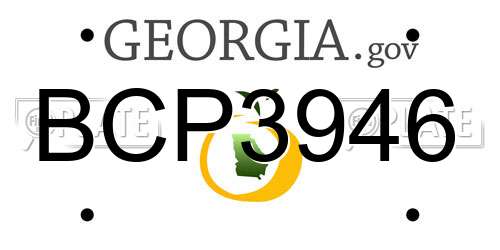 BCP3946 Georgia License Plate