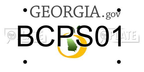 BCPS01 Georgia License Plate