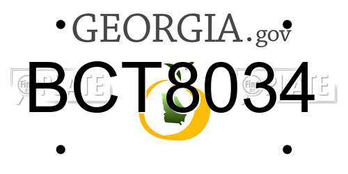 BCT8034 Georgia License Plate