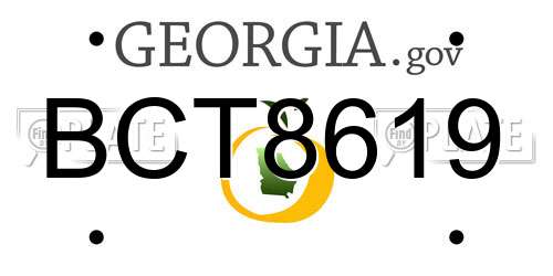 BCT8619 Georgia License Plate