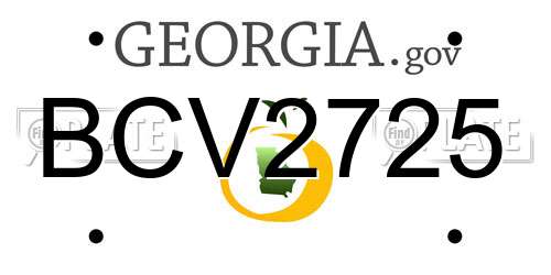 BCV2725 Georgia License Plate