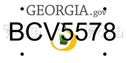 BCV5578 Georgia License Plate