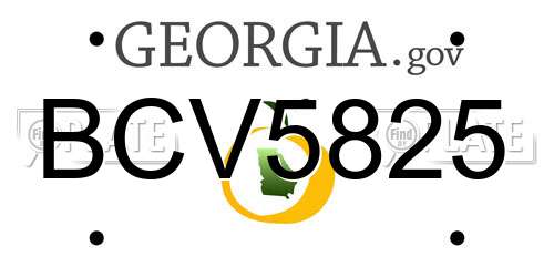 BCV5825 Georgia License Plate