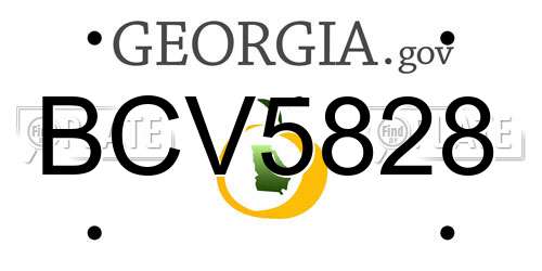 BCV5828 Georgia License Plate
