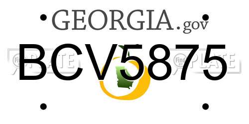BCV5875 Georgia License Plate