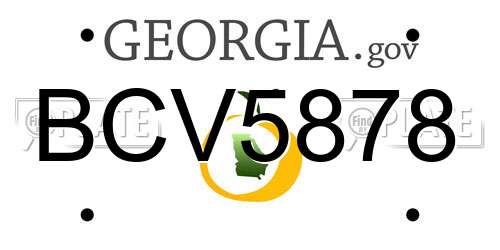BCV5878 Georgia License Plate