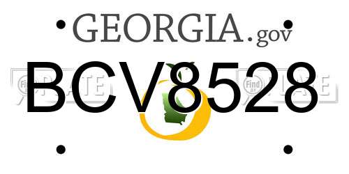 BCV8528 Georgia License Plate