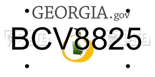 BCV8825 Georgia License Plate
