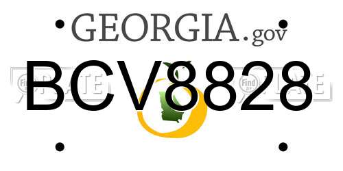 BCV8828 Georgia License Plate