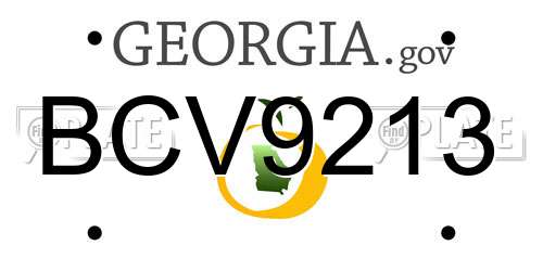 BCV9213 Georgia License Plate