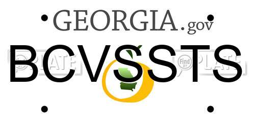 BCVSSTS Georgia License Plate