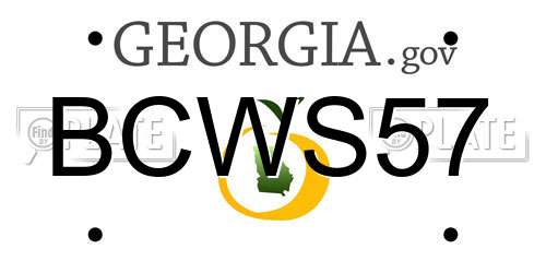 BCWS57 Georgia License Plate