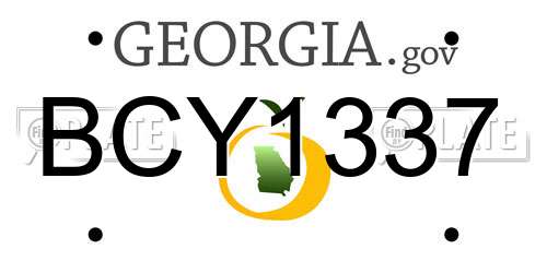 BCY1337 Georgia License Plate