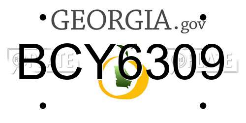 BCY6309 Georgia License Plate