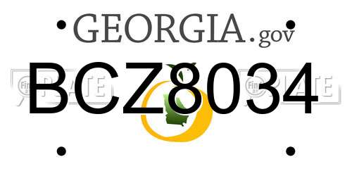 BCZ8034 Georgia License Plate