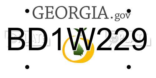 BD1W229 Georgia License Plate