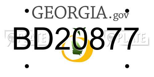 BD20877 Georgia License Plate