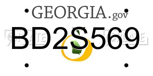 BD2S569 Georgia License Plate