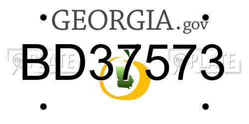 BD37573 Georgia License Plate
