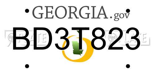 BD3T823 Georgia License Plate