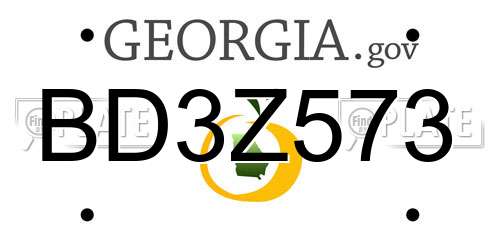 BD3Z573 Georgia License Plate