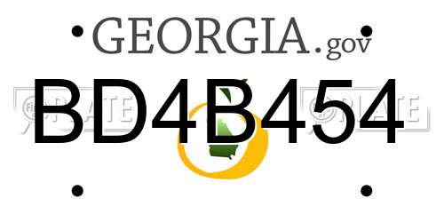 BD4B454 Georgia License Plate