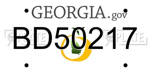 BD50217 Georgia License Plate