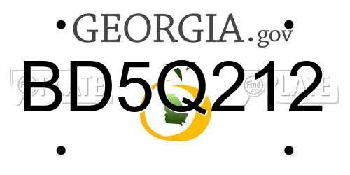 BD5Q212 Georgia License Plate