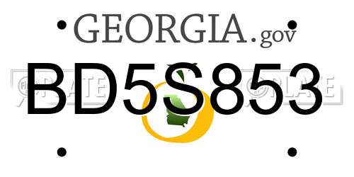 BD5S853 Georgia License Plate