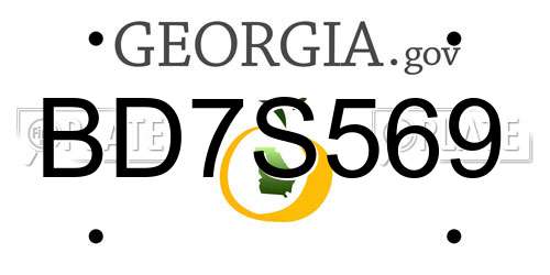 BD7S569 Georgia License Plate