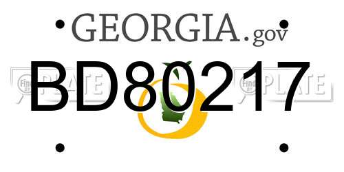 BD80217 Georgia License Plate