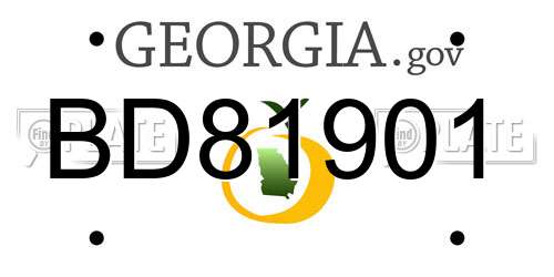 BD81901 Georgia License Plate