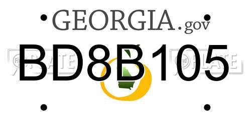 BD8B105 Georgia License Plate
