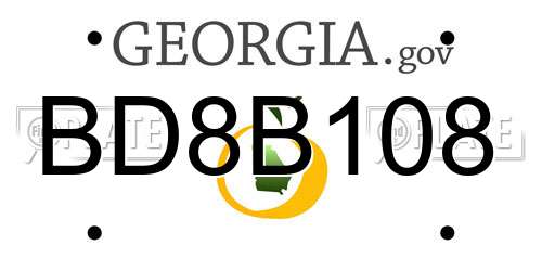BD8B108 Georgia License Plate