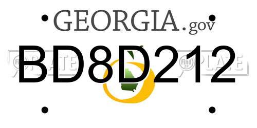BD8D212 Georgia License Plate
